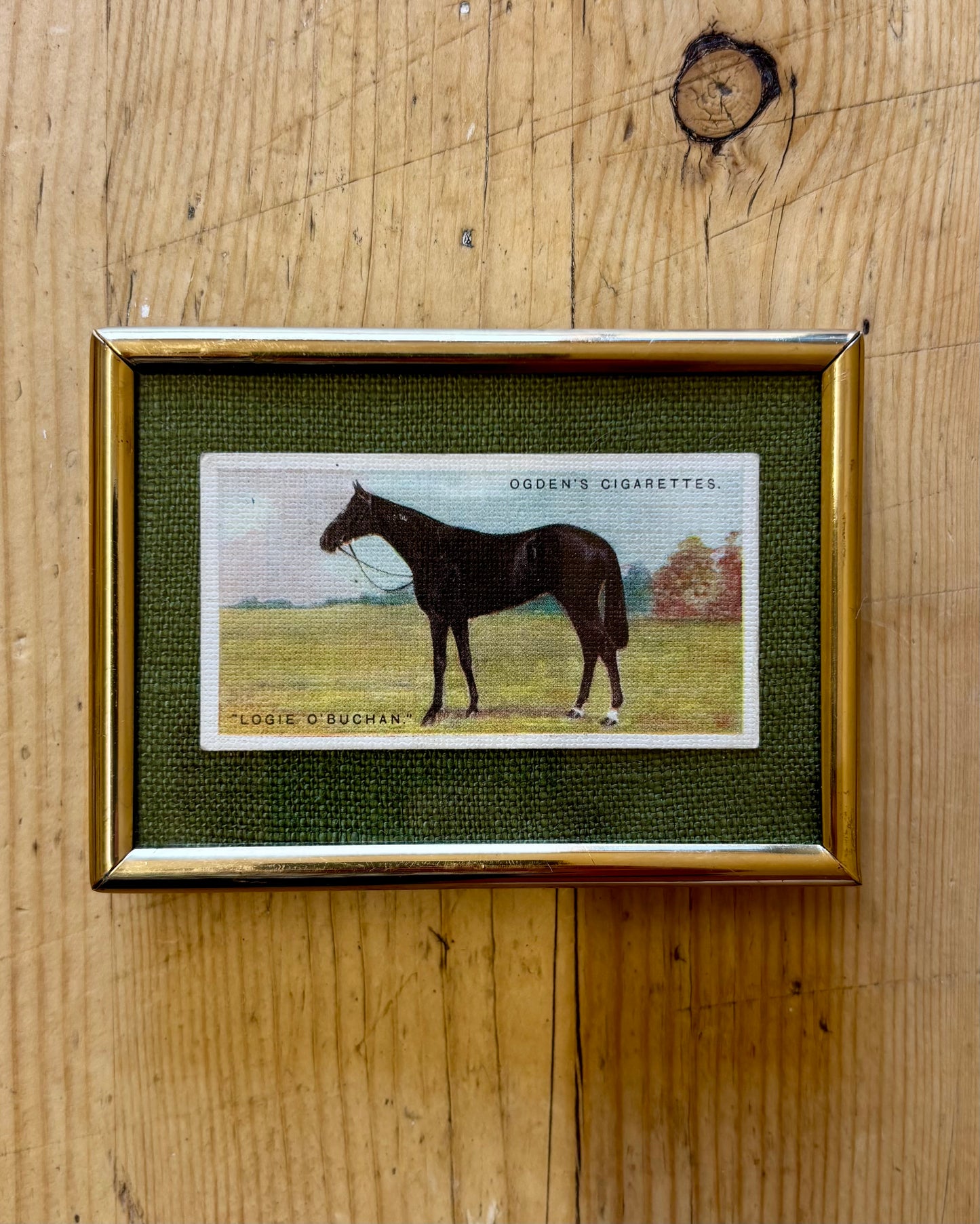 Vintage Framed Horse Cigarette Card | 1928 Ogden’s Equestrian Wall Art