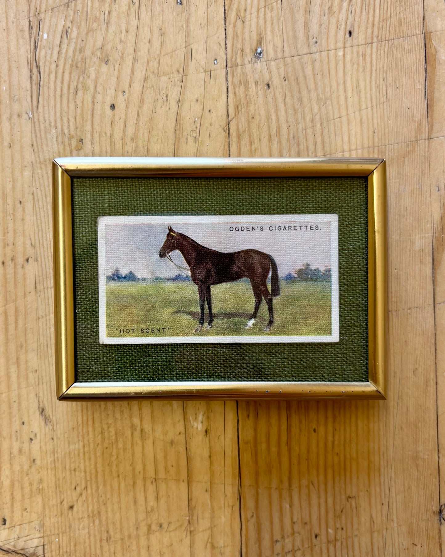 Vintage Framed Horse Cigarette Card | 1928 Ogden’s Equestrian Wall Art
