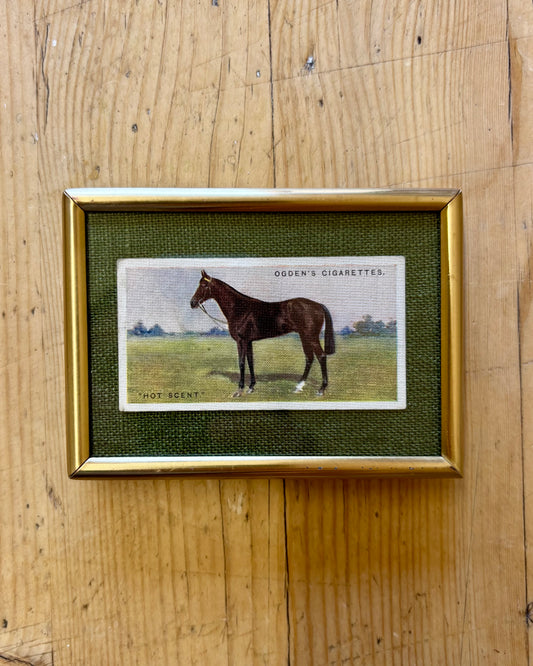 Vintage Framed Horse Cigarette Card | 1928 Ogden’s Equestrian Wall Art