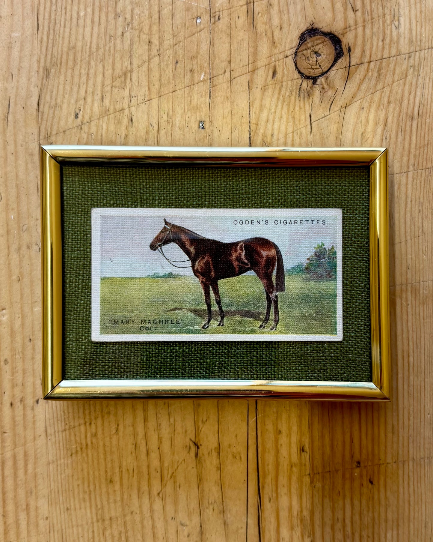 Vintage Framed Horse Cigarette Card | 1928 Ogden’s Equestrian Wall Art