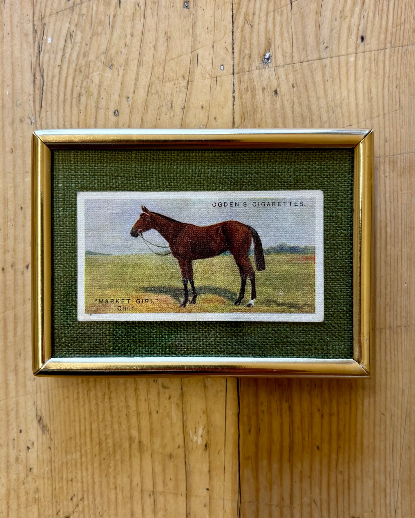 Vintage Framed Horse Cigarette Card | 1928 Ogden’s Equestrian Wall Art