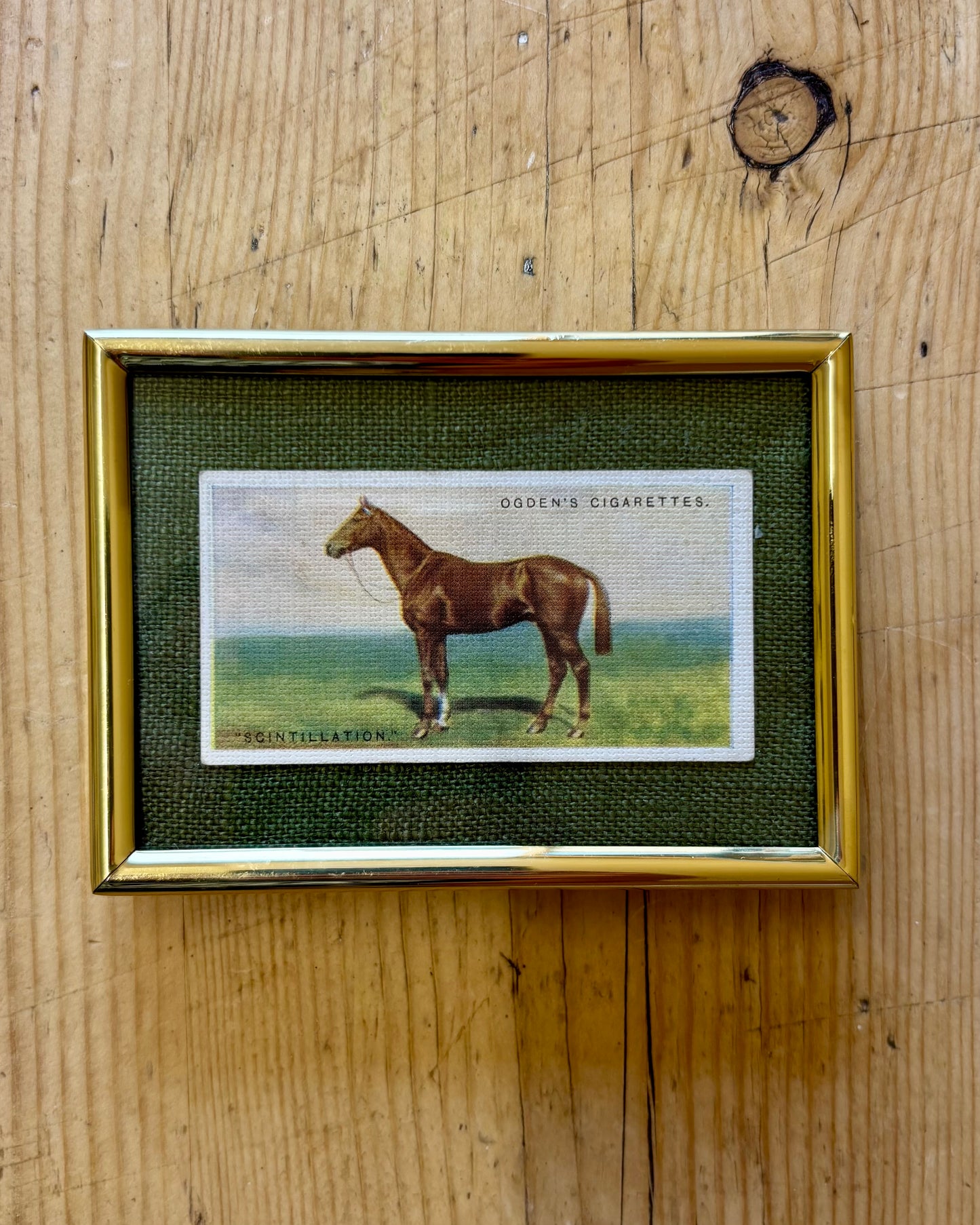 Vintage Framed Horse Cigarette Card | 1928 Ogden’s Equestrian Wall Art