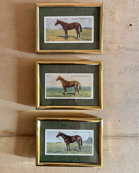 Vintage Framed Horse Cigarette Card | 1928 Ogden’s Equestrian Wall Art