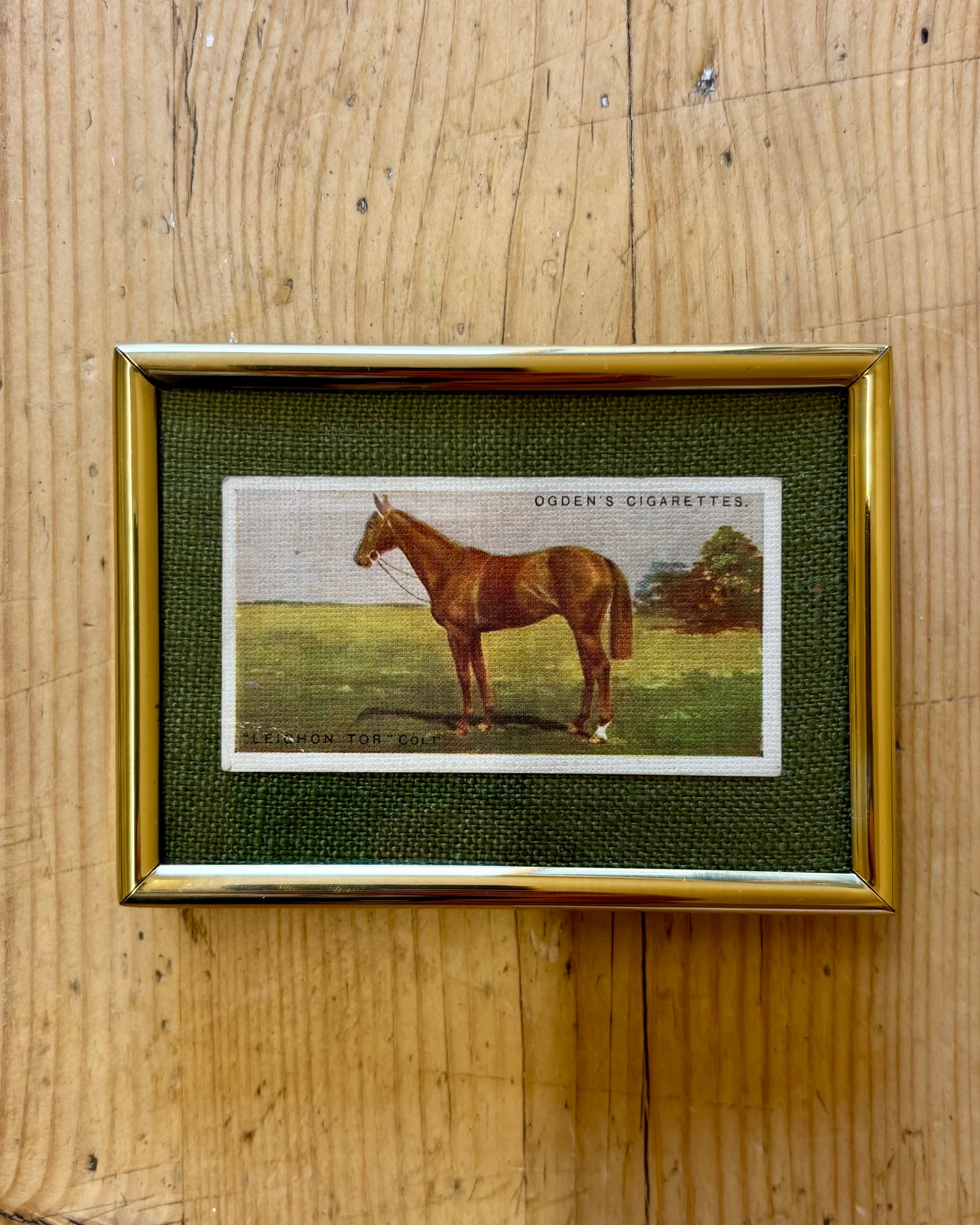Vintage Framed Horse Cigarette Card | 1928 Ogden’s Equestrian Wall Art